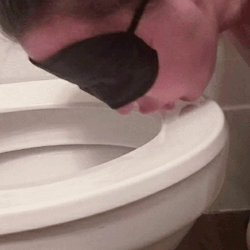 sluttylitte310: Licking the toilet like a good slut.