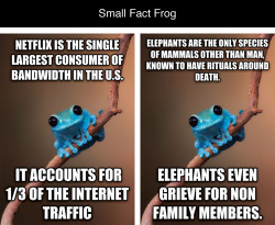 tastefullyoffensive:  Best of ‘Small Fact