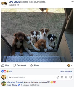buzzfeed:  UPS DOGS is quite possibly the best group on Facebook.