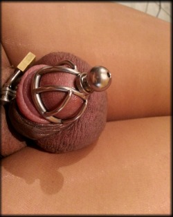 show-us-your-locked-cock:  This cage keeps my sissy tiny little caged clit hurting all day! Just love wearing it !