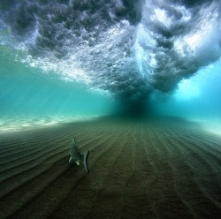 littlemermaidtears:  frma2z:  To live under waves 😍  This grabbed my heart wow this is so breathtaking I’ve been staring at this for like 20 minutes and I can’t stop 