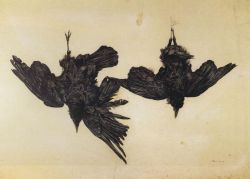 andrewwyethartist:Crows - Andrew Wyeth