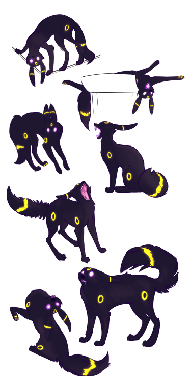 svantanon:svantanon:  jess-the-werefox:  svantanon:  I drew my umbreon OC as a bunch of spooky black cat memes.   I love them and have a Request:   I don’t want to forget so I’m reblogging a;sdlfjk   @jess-the-werefox