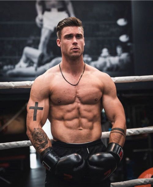 bears-muscle-boxing:  Gloves, arms &amp; abs…