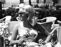 Sophialorens:  Diana Dors, Cannes 1958  Oh My God.