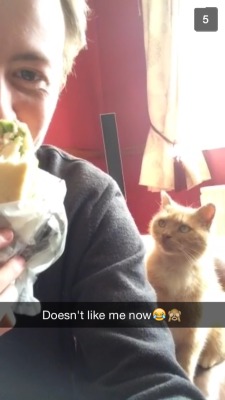 So my left arm went home yesterday and I got some snapchat videos from him this morning&hellip;he was tormenting his cat with his sandwich and I could hear Tom laughing while he was doing it and it made me tear up slightly, just knowing I&rsquo;m not