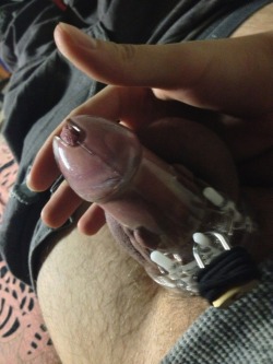 Lockedjock:  Ten Days Of Not Cumming And I Spent Most The Night On Tumblr. My Cock