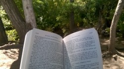 Read some Outlander at the park (X)