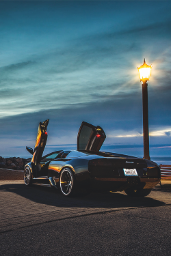 wearevanity:  Lamborghini Murcielago Sunrise