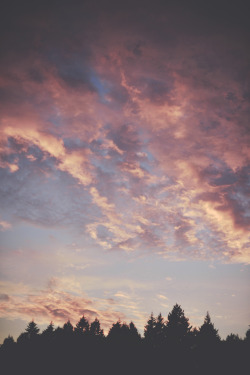 teapalm:  (Tasha Marie) | Sunset on flickrisland