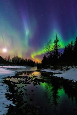 beautymothernature:  Aurora moonset share moments 
