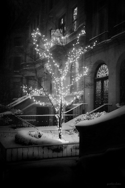 gothicslutic: Snowy nights  .    ❄  ·   ⋆  * ❄ . • 