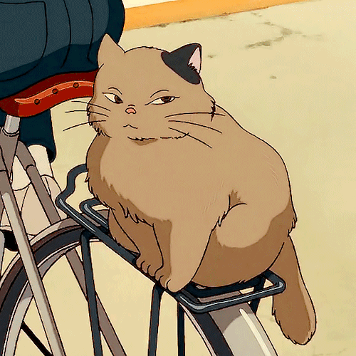 nicostiel:🐱 Studio Ghibli Cats 🐈