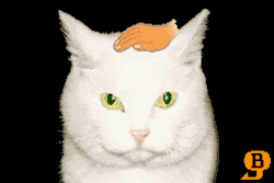 suppermariobroth: Maximum petting speed in the Pet Cat souvenir in WarioWare: Twisted.