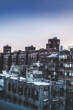 Chilly NYC | Photographer © | IG | AOI