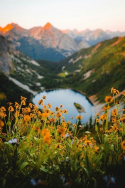 j-k-i-ng:“Spring in the Cascades“ by | Jake Guzman