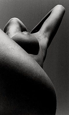 Eroticbwphotography:  Behold, The Beautiful Naked Woman…. A Perfect Form. A Nude