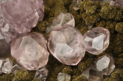 underthescopemineral:   Calcite (Var: Cobaltoan Calcite) (Ca,Co)CO3Locality:Bou Azzer (Bou Azer; Bouazzar; Bouazer; Bou-Azzer), Bou Azzer District (Bou Azer District), Tazenakht, Ouarzazate Province, Drâa-Tafilalet Region, MoroccoField of view: 5mmPink