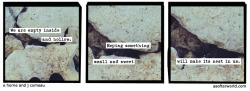 softerworld:  A Softer World: 1193 (unfurnished, but with care it could be a home) buy this print • become our patron 