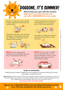 ladymalchav:  veneravmehah:  Summer’s here! Make sure you and your dog(s) are prepared for the summer heat by following these safety tips!  The stores in my town leave out bowls of water for dogs as soon as the weather turns warm. 