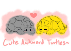 wily-red-and-galeforce-gold:  speakeasysniper:   Hello! Um, I’m not really sure how this really works, but yeah, while reading some of your role-plays with wily-red-and-galeforce-gold, I noticed that “turtles” were mentioned a lot in the tags. So,