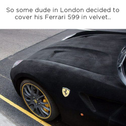 foreverdai:  Un Ferrari de tercipelo… 