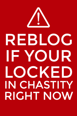 locked-cock:  mychasteylife:  Yep  Yes i am locked up   Yes indeedy! 👍👍🔐