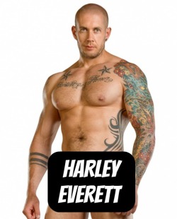 HARLEY EVERETT at TitanMen  CLICK THIS TEXT to see the NSFW original.