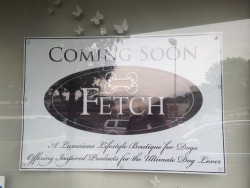 We did it everyone. We finally made Fetch happen.