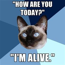 gokuma:  chronic-illness-cat:  [picture of a Siamese cat’s head against a triangle-sectioned background with many shades of blue. Top line of text reads: “How are you today?” || Bottom line of text reads: I’m alive.]  me 