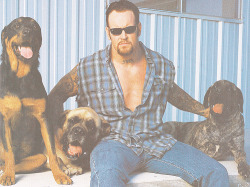 painsindicate:  The Undertaker with his dogs Thor, Zeus, and Tyson.