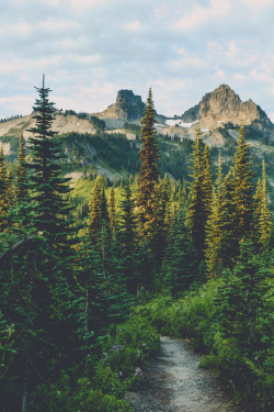 expressions-of-nature:Wonderland Trail, Mount Rainier, Washington by Pedalhead’71