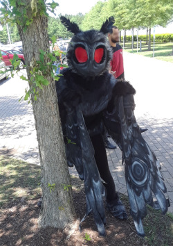 coughsyrup-cosmonaut:  Mothman was spotted terrorizing cosplayers at a convention this weekend, more on this at seven
