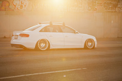 stancespice:  Audi S4 B8 Accuair B8sportkit by Gerard Lozano on Flickr.