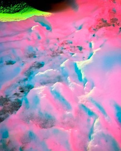 sleazeburger:  Neon Snow in NYC