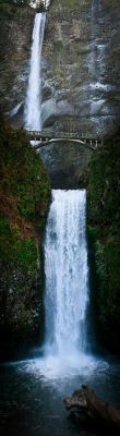 beautymothernature:  Multnomah Falls in t