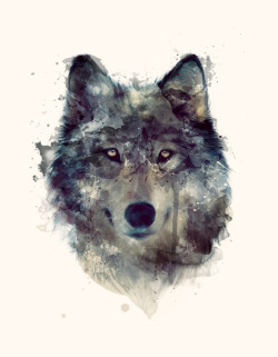 Bestof-Society6:Art Prints By Amy Hamiltonwolf // Perseverefoxmooselion // Majesty Red