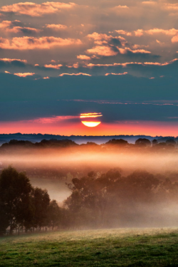 expressions-of-nature:  Sunrise by: Jacqueline