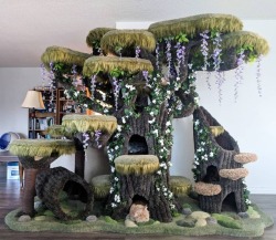 molosseraptor:  shotinthekidney:   catsbeaversandducks:  Wolfie the Werecat and his wonderful Enchanted Forest Kitty Sanctuary. Photos by Wolfie Cat Tree made by Hollywood Kitty Company  @molosseraptor   It’s everywhere!  Everything about this is