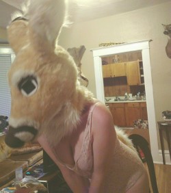 This deer is so cute and sexy aahh &lt;3I love this kind of thing tbh. i’m a huge gross furry i know. but a cute fursuit partial  adds so much like&hellip; mystique and charm to what would otherwise just be erotic photos of humans. It’s like literally