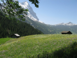 enchantinghearts:  A lovely Swiss landscape (by Brandon46142)