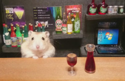 mayahan:  Little Hamster Bartenders Serving Tiny Food and Drinks  
