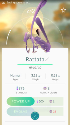 rotifers:  retrogamingblog:  Rattata, you doin alright bro?  Rattata’s leaked mega evolution looks great 