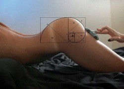 yourdirtylittlepet:I have the Fibonacci Sequence as a tattoo, so this filled me with slutty, geeky joy.