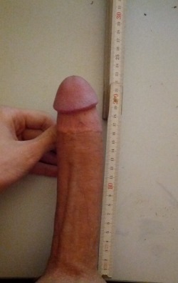 23cm x 15cm (9&quot; x 5.8&quot;)