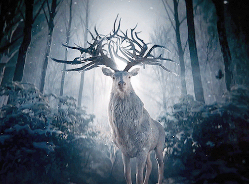 badcode:magic or mythical deer in film and tv (see also: fucked up deer)1. Shadow and Bone (2021) 2. Snow White and the Huntsman (2012) dir. Rupert Sanders 3. The Hobbit: The Desolation of Smaug (2013) dir. Peter Jackson 4. Princess Mononoke (1997) dir.