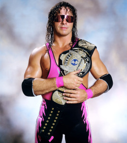 Fishbulbsuplex:  Wwf World Champion Bret Hart   The Excellence Of Execution