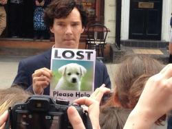 lumos5000:  gallifreyan-sleuth:  This is the sweetest thing I’ve ever seen. Apparently a little boy asked Ben to hold up this sign so that the paparazzi would take pictures of it and word would spread about his lost puppy.  reasons why this man is one