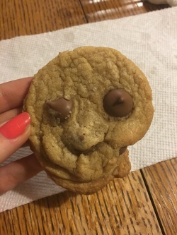 cutetaurusgirl:  I FOUND THIS COOKIE THAT KINDA LOOKS LIKE A FACE AND I WAS LIKE “LEMME TRY A FACE SWAP” AND IM SCREMAIGNHFDJBC 