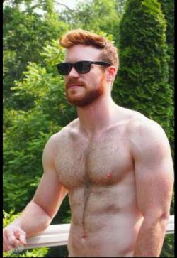 Ginger Man of the Day